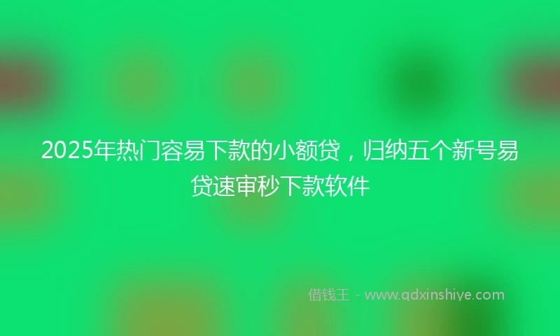 2025年热门容易下款的小额贷，归纳五个新号易贷速审秒下款软件