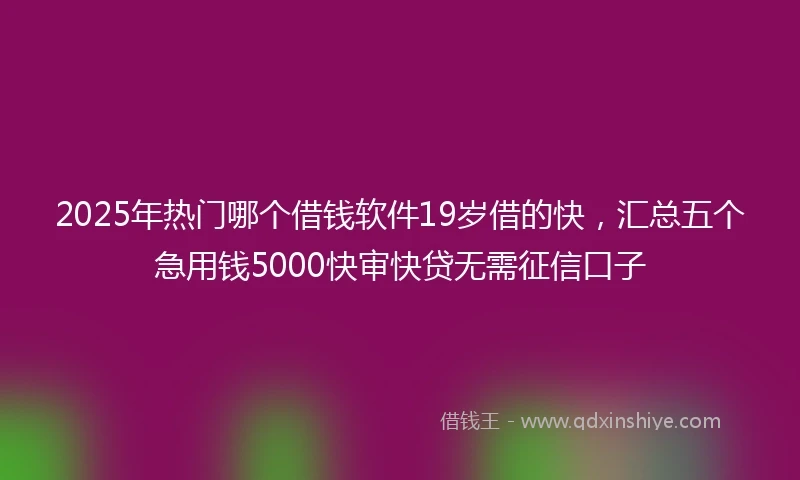 2025年热门哪个借钱软件19岁借的快，汇总五个急用钱5000快审快贷无需征信口子