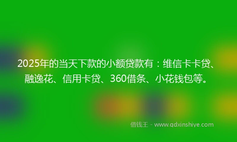 2025年的当天下款的小额贷款有：维信卡卡贷、融逸花、信用卡贷、360借条、小花钱包等。