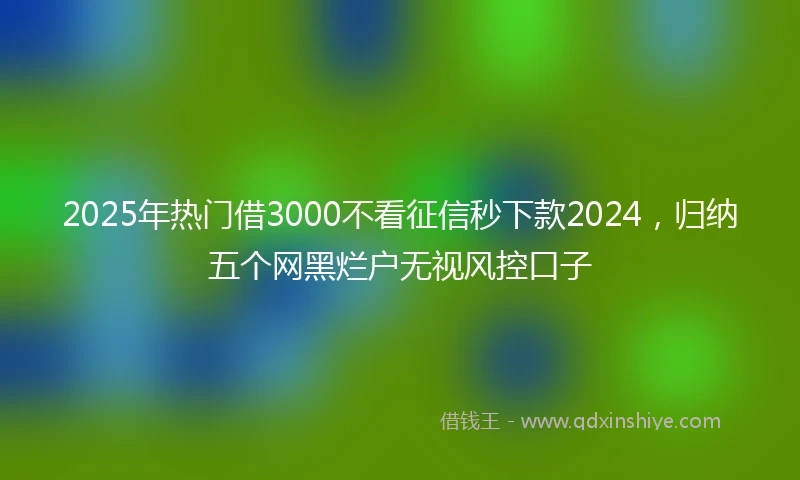 2025年热门借3000不看征信秒下款2024，归纳五个网黑烂户无视风控口子