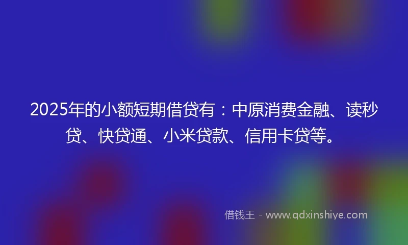 2025年的小额短期借贷有：中原消费金融、读秒贷、快贷通、小米贷款、信用卡贷等。
