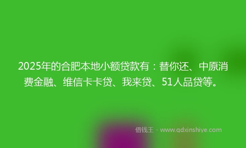 2025年的合肥本地小额贷款有：替你还、中原消费金融、维信卡卡贷、我来贷、51人品贷等。