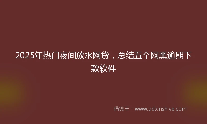 2025年热门夜间放水网贷，总结五个网黑逾期下款软件
