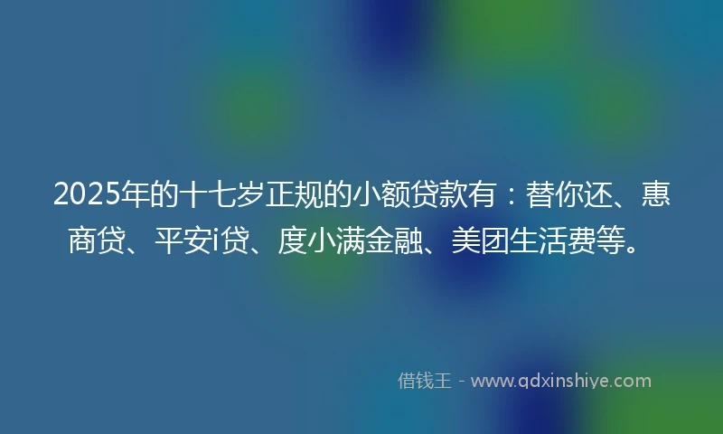 2025年的十七岁正规的小额贷款有：替你还、惠商贷、平安i贷、度小满金融、美团生活费等。