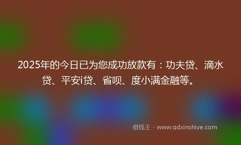 2025年的今日已为您成功放款有：功夫贷、滴水贷、平安i贷、省呗、度小满金融等。