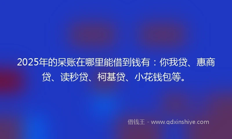 2025年的呆账在哪里能借到钱有:你我贷、惠商贷、读秒贷、柯基贷、小花钱包等。