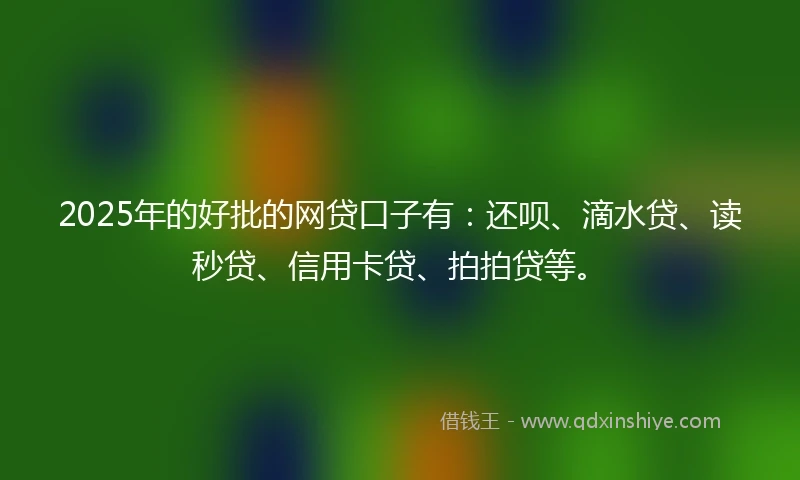 2025年的好批的网贷口子有：还呗、滴水贷、读秒贷、信用卡贷、拍拍贷等。