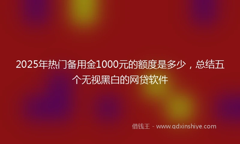 2025年热门备用金1000元的额度是多少，总结五个无视黑白的网贷软件