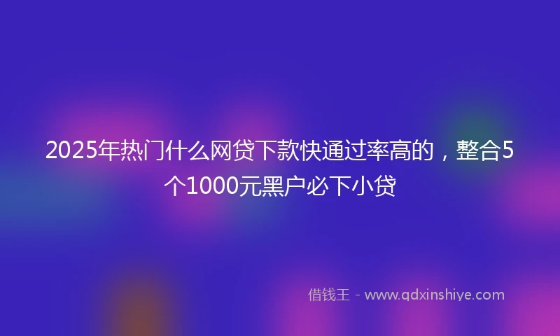 2025年热门什么网贷下款快通过率高的，整合5个1000元黑户必下小贷