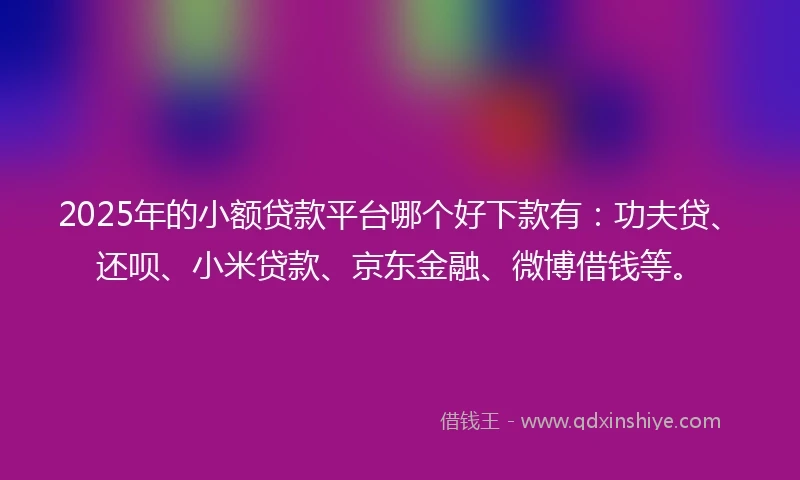 2025年的小额贷款平台哪个好下款有：功夫贷、还呗、小米贷款、京东金融、微博借钱等。
