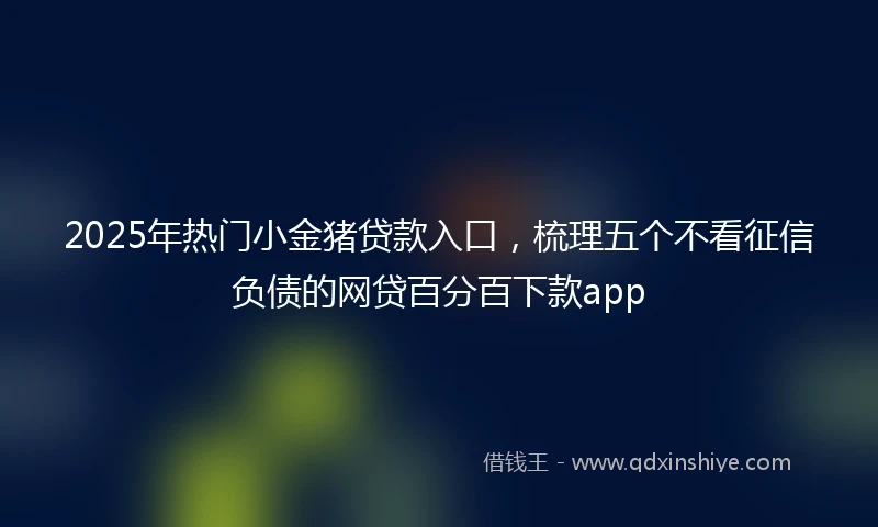 2025年热门小金猪贷款入口，梳理五个不看征信负债的网贷百分百下款app