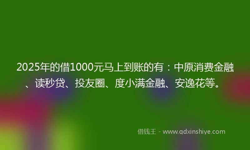 2025年的借1000元马上到账的有：中原消费金融、读秒贷、投友圈、度小满金融、安逸花等。