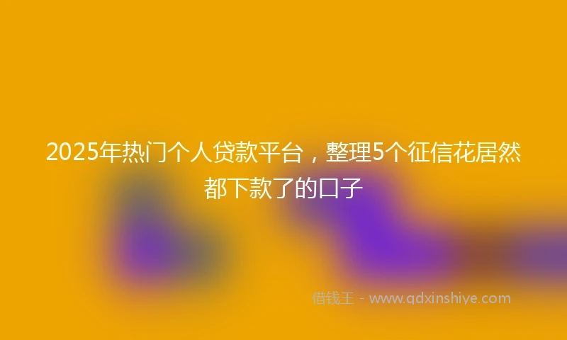 2025年热门个人贷款平台，整理5个征信花居然都下款了的口子