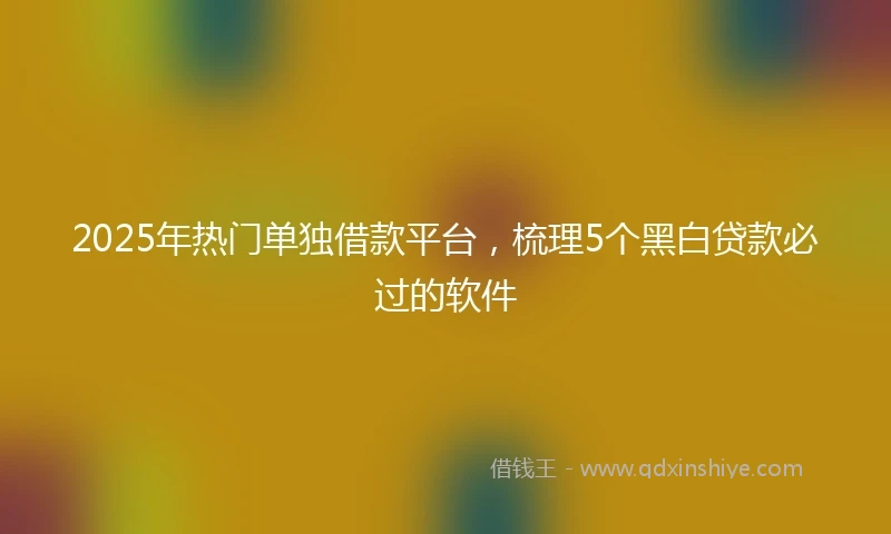 2025年热门单独借款平台，梳理5个黑白贷款必过的软件