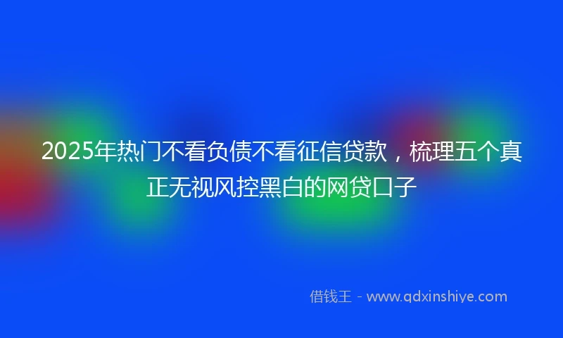 2025年热门不看负债不看征信贷款，梳理五个真正无视风控黑白的网贷口子