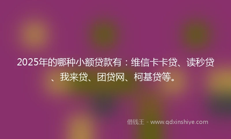 2025年的哪种小额贷款有：维信卡卡贷、读秒贷、我来贷、团贷网、柯基贷等。