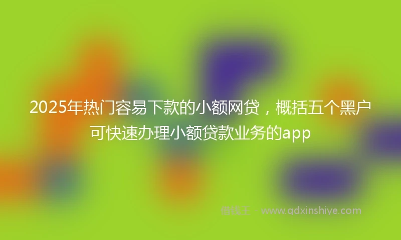 2025年热门容易下款的小额网贷，概括五个黑户可快速办理小额贷款业务的app