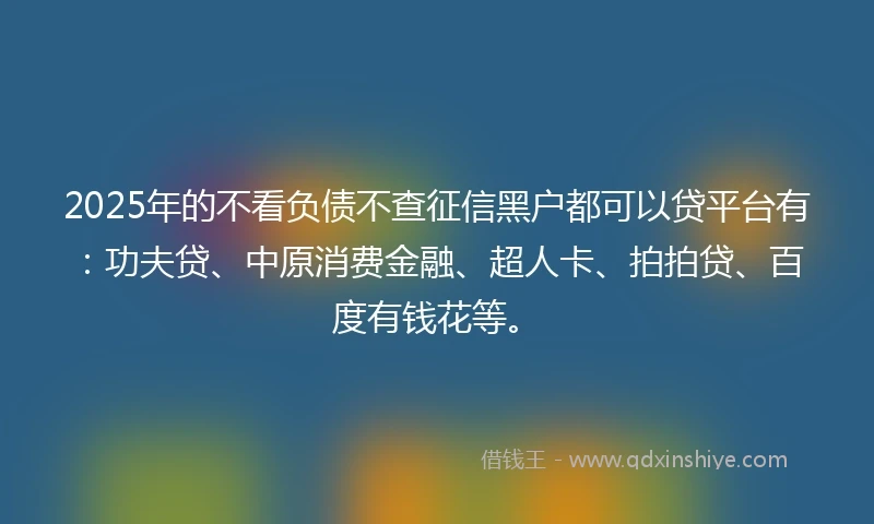 2025年的不看负债不查征信黑户都可以贷平台有：功夫贷、中原消费金融、超人卡、拍拍贷、百度有钱花等。