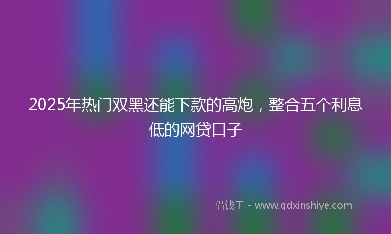 2025年热门双黑还能下款的高炮，整合五个利息低的网贷口子