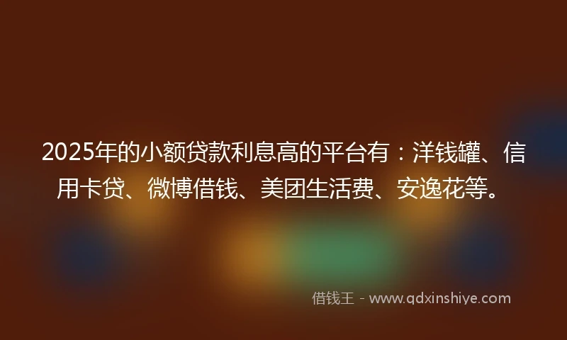 2025年的小额贷款利息高的平台有：洋钱罐、信用卡贷、微博借钱、美团生活费、安逸花等。