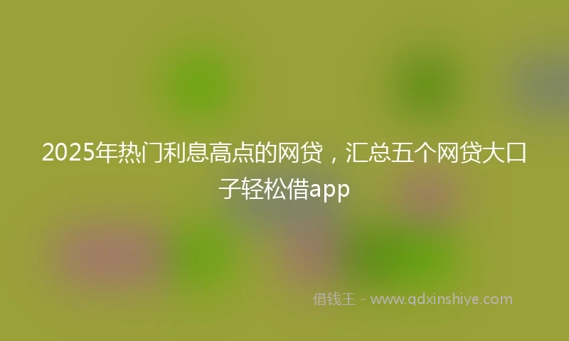 2025年热门利息高点的网贷，汇总五个网贷大口子轻松借app