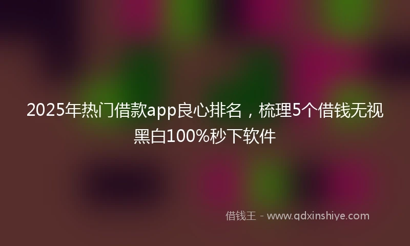 2025年热门借款app良心排名，梳理5个借钱无视黑白100%秒下软件