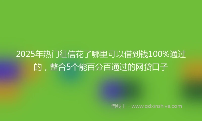 2025年热门征信花了哪里可以借到钱100%通过的，整合5个能百分百通过的网贷口子