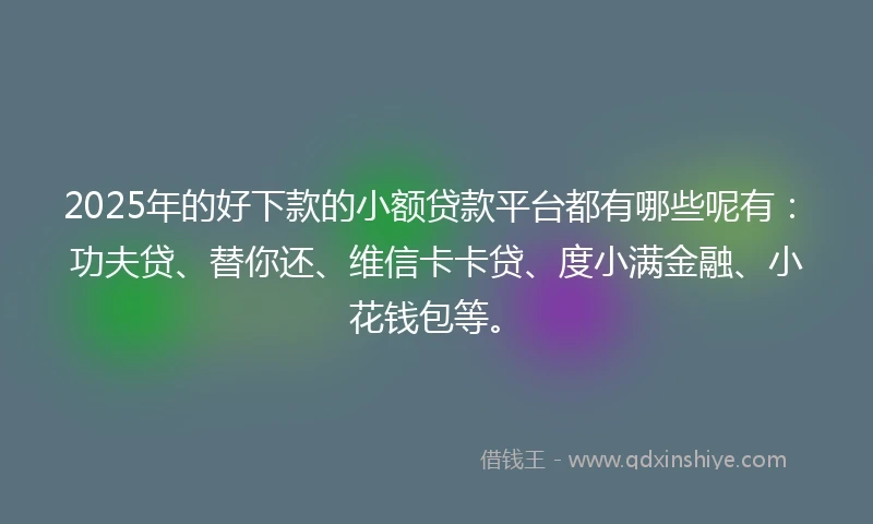 2025年的好下款的小额贷款平台都有哪些呢有：功夫贷、替你还、维信卡卡贷、度小满金融、小花钱包等。