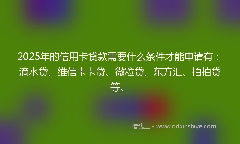 2025年的信用卡贷款需要什么条件才能申请有：滴水贷、维信卡卡贷、微粒贷、东方汇、拍拍贷等。