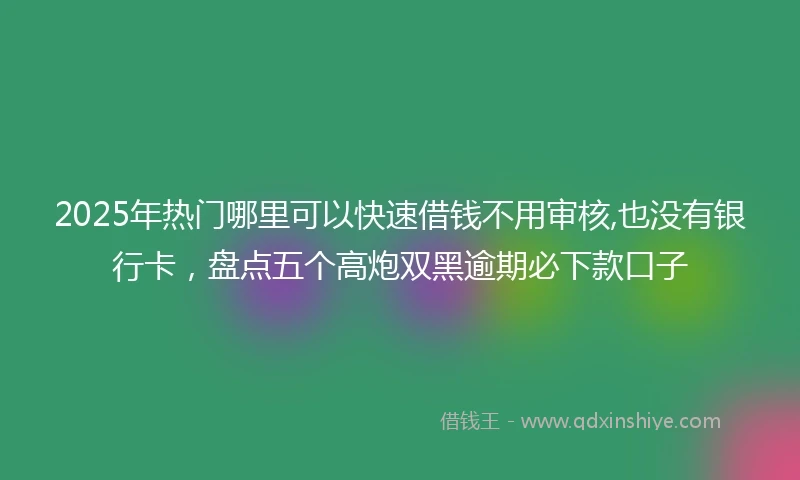 2025年热门哪里可以快速借钱不用审核,也没有银行卡，盘点五个高炮双黑逾期必下款口子