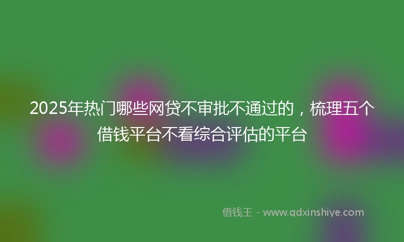 2025年热门哪些网贷不审批不通过的，梳理五个借钱平台不看综合评估的平台