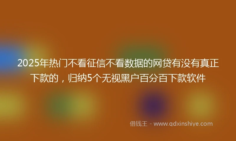 2025年热门不看征信不看数据的网贷有没有真正下款的，归纳5个无视黑户百分百下款软件
