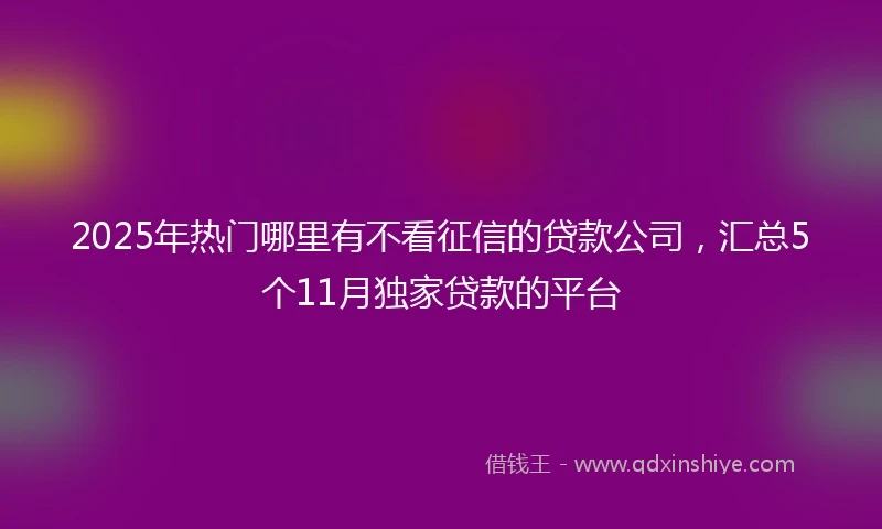 2025年热门哪里有不看征信的贷款公司，汇总5个11月独家贷款的平台
