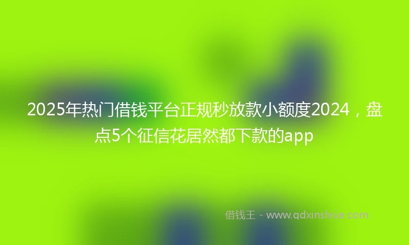 2025年热门借钱平台正规秒放款小额度2024，盘点5个征信花居然都下款的app
