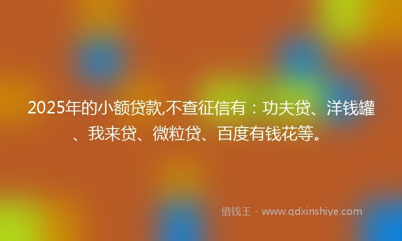 2025年的小额贷款,不查征信有：功夫贷、洋钱罐、我来贷、微粒贷、百度有钱花等。
