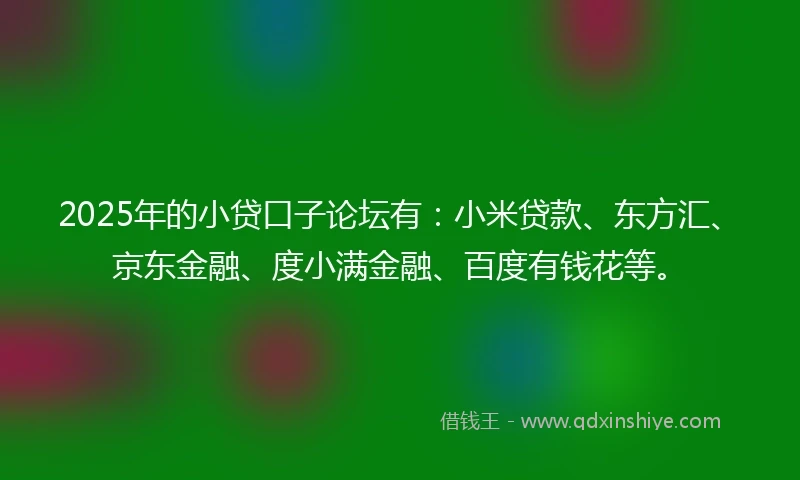 2025年的小贷口子论坛有：小米贷款、东方汇、京东金融、度小满金融、百度有钱花等。