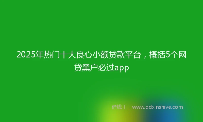 2025年热门十大良心小额贷款平台，概括5个网贷黑户必过app