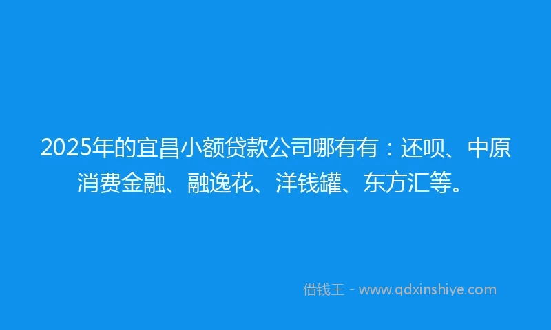 2025年的宜昌小额贷款公司哪有有：还呗、中原消费金融、融逸花、洋钱罐、东方汇等。