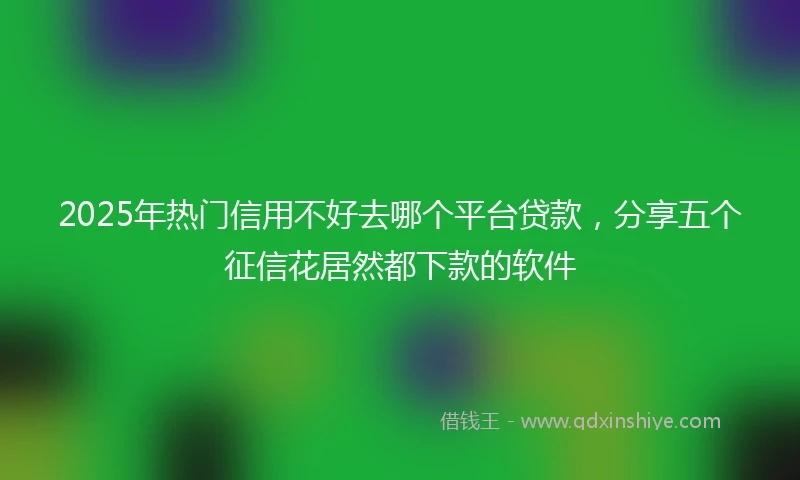 2025年热门信用不好去哪个平台贷款，分享五个征信花居然都下款的软件