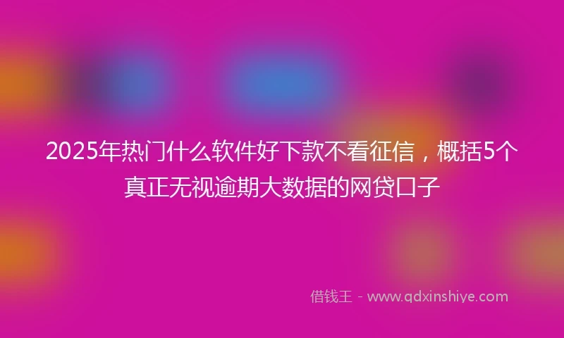 2025年热门什么软件好下款不看征信，概括5个真正无视逾期大数据的网贷口子