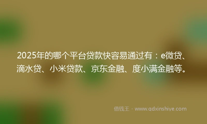 2025年的哪个平台贷款快容易通过有：e微贷、滴水贷、小米贷款、京东金融、度小满金融等。