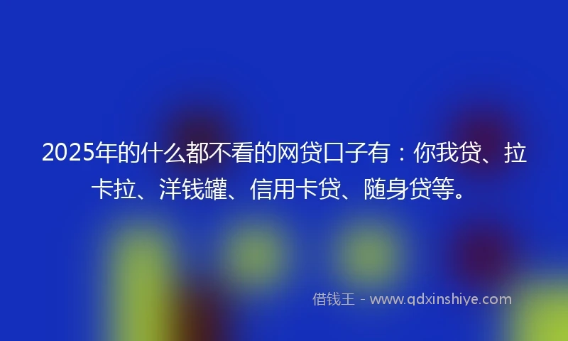2025年的什么都不看的网贷口子有：你我贷、拉卡拉、洋钱罐、信用卡贷、随身贷等。