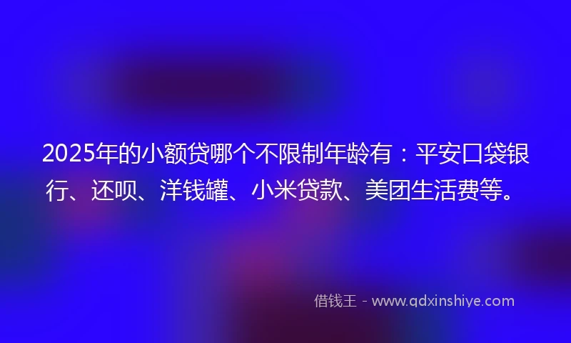 2025年的小额贷哪个不限制年龄有：平安口袋银行、还呗、洋钱罐、小米贷款、美团生活费等。