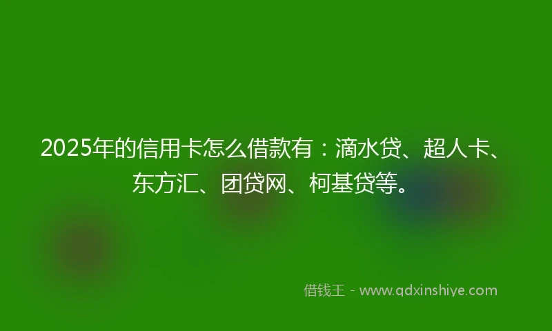 2025年的信用卡怎么借款有：滴水贷、超人卡、东方汇、团贷网、柯基贷等。