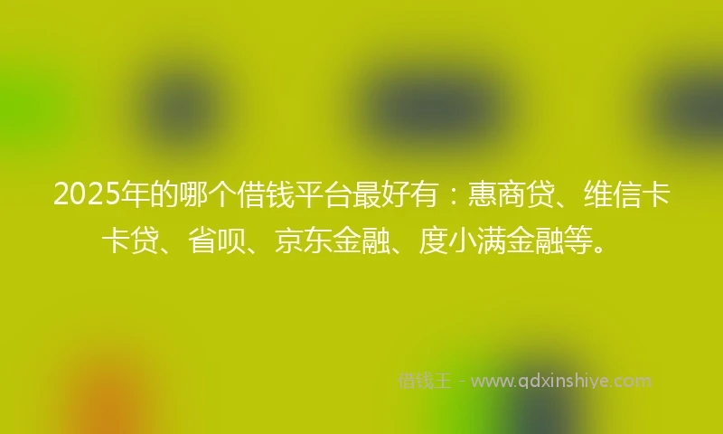 2025年的哪个借钱平台最好有:惠商贷、维信卡卡贷、省呗、京东金融、度小满金融等。