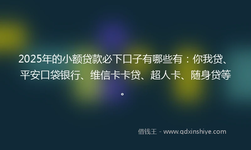 2025年的小额贷款必下口子有哪些有：你我贷、平安口袋银行、维信卡卡贷、超人卡、随身贷等。