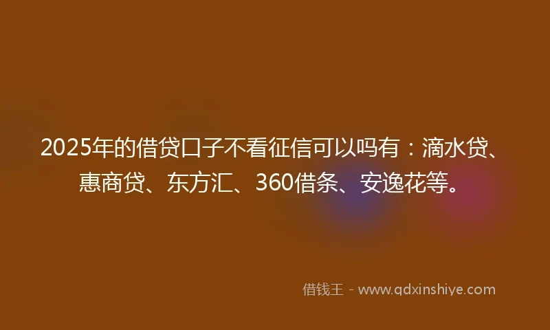 2025年的借贷口子不看征信可以吗有：滴水贷、惠商贷、东方汇、360借条、安逸花等。