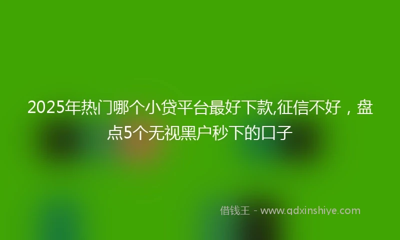 2025年热门哪个小贷平台最好下款,征信不好，盘点5个无视黑户秒下的口子