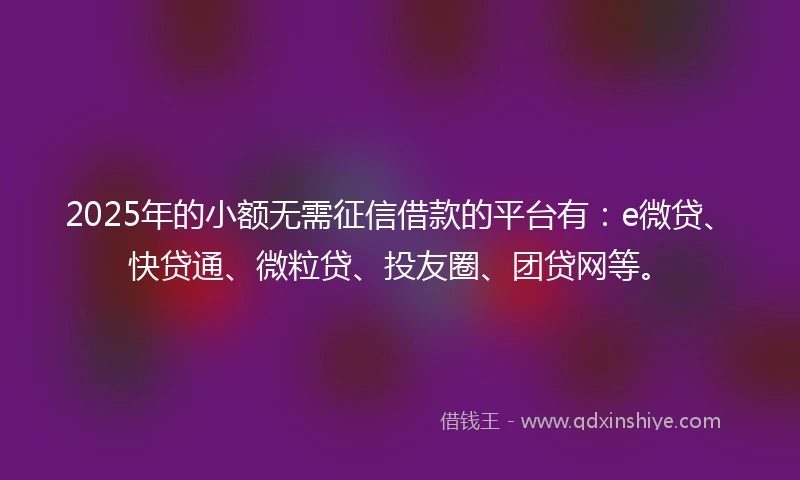 2025年的小额无需征信借款的平台有：e微贷、快贷通、微粒贷、投友圈、团贷网等。