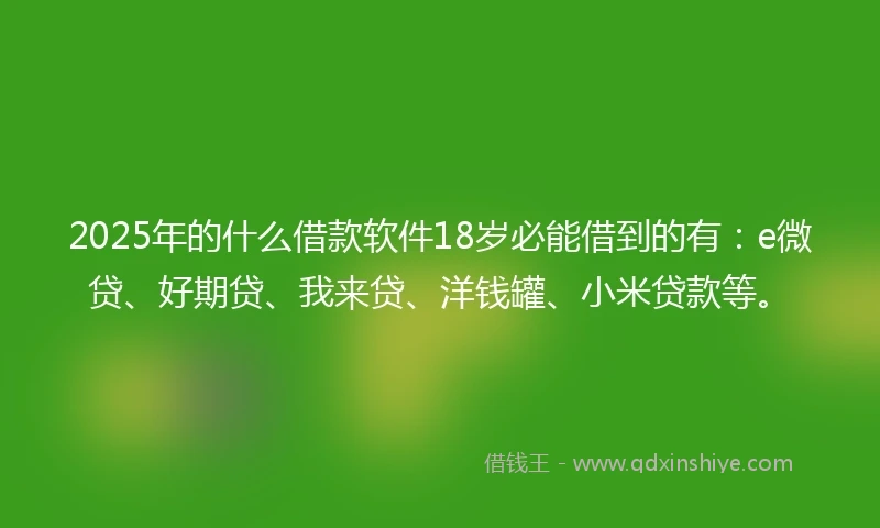 2025年的什么借款软件18岁必能借到的有：e微贷、好期贷、我来贷、洋钱罐、小米贷款等。